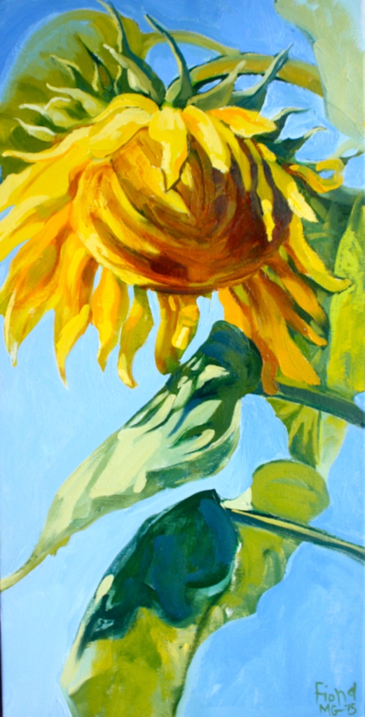 Sunflower #4, Oil on canvas, 12" x 24"